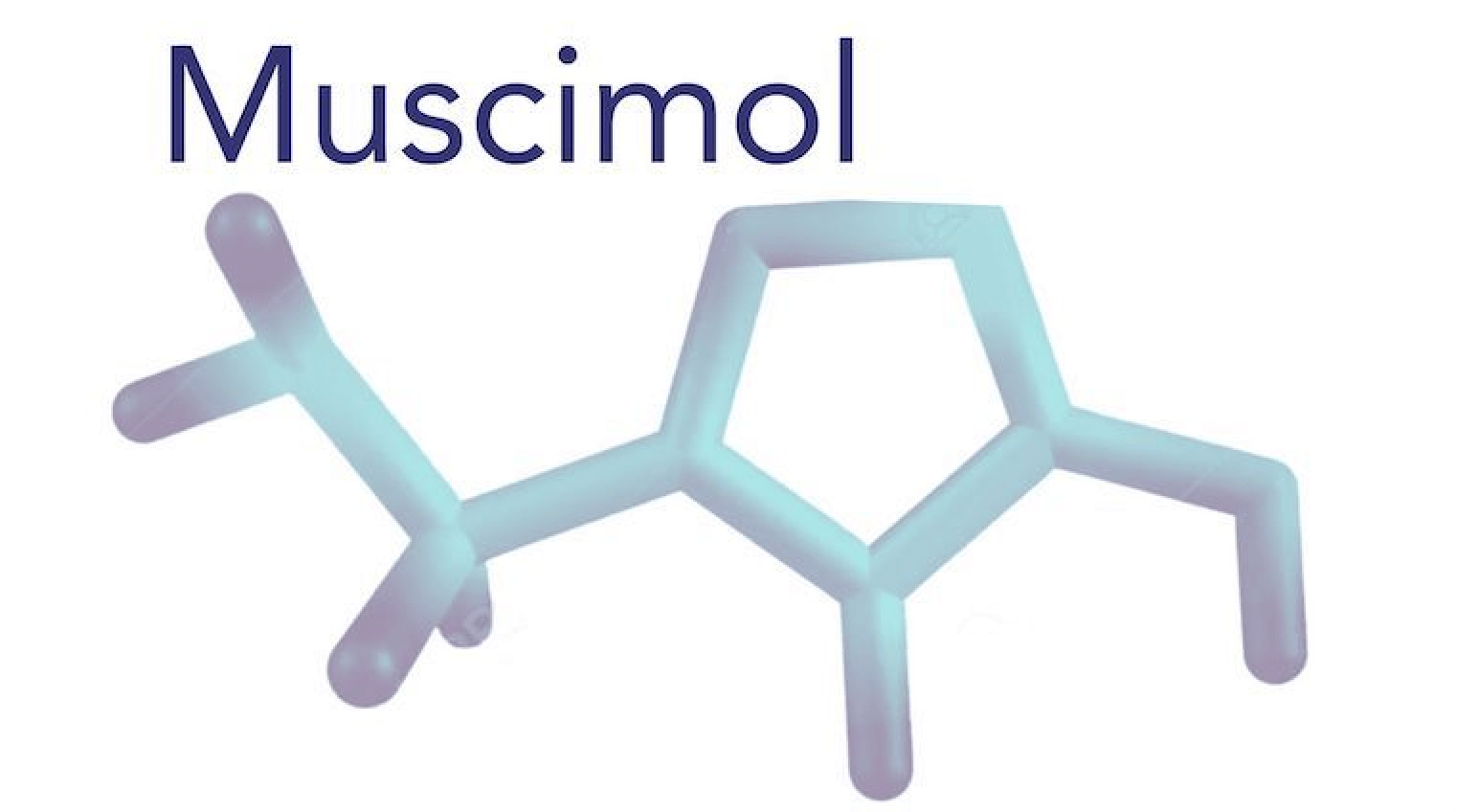 Discovering the Power of Muscimol: How it Affects the Mind and Body