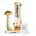b+ spores syringe - 10ml