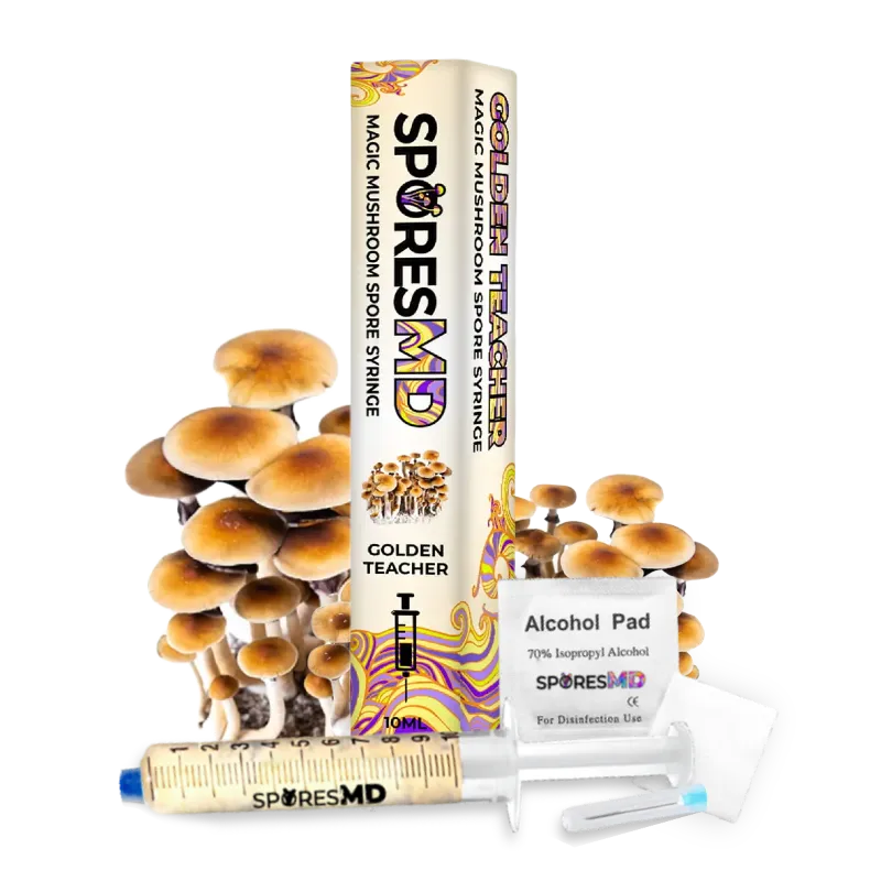 Golden Teacher Mushroom Liquid Culture (10ml)