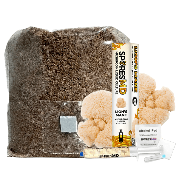 SMD-GROW-BAG-LIONS-MANE Lion's Mane mushroom grow kit by SporesMD
