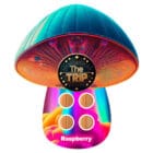 The Trip Mushroom Tablets - 4ct - Raspberry