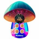The Trip Mushroom Tablets - 4ct - Blueberry