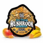 TRE House Gummies – 10 Count - Juicy Mango