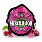 TRE House Gummies – 10 Count - Sour Cherry
