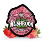 TRE House Gummies – 10 Count - Strawberry Dream