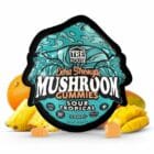 TRE House Gummies – 10 Count - Sour Tropical