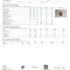 Day Tripper Mushroom Tablets Lab report