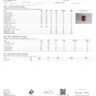Day Tripper Mushroom Tablets Lab report