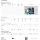 Road Trip Mushroom Gummies - Desert stardust straberry lab report